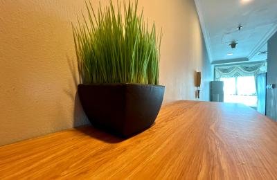 Furnished Studio | Marina Canal View | Chiller Free